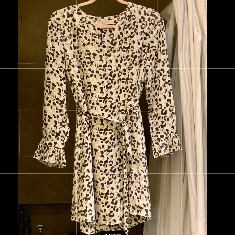 Cute animal print dress. Size: SPetite